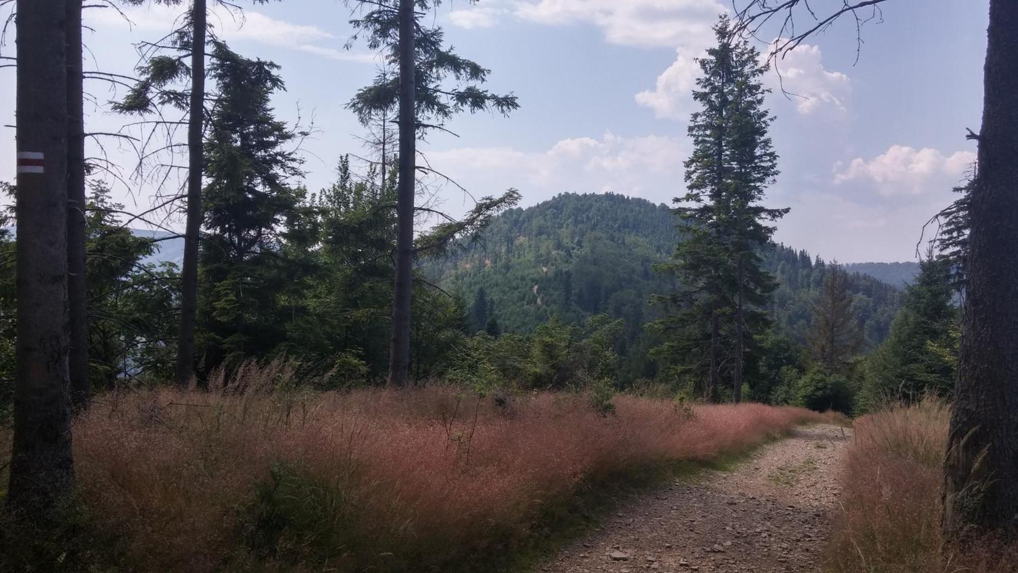 Pod Klimczokiem I Szczyrk Exterior foto
